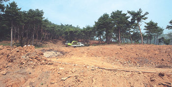 깨끗이 정비된 집터 노무현 대통령이 퇴임 후 거처할 집터 예정지인 경남 진해시 진영읍 본산리 봉하마을 9-1 전경. 원래 잡목 등이 우거져 있었으나 노 대통령의 형 건평 씨가 3개월 동안 깨끗이 정비했다. 진해=강정훈 기자