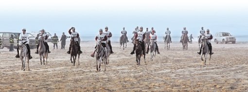 ‘승마에도 마라톤이?’ 이번 도하 아시아경기부터 정식 종목으로 채택된 승마 지구력 경기에 출전한 각국 선수들이 14일 사막을 질주하고 있다. 이 경기는 무려 120km를 달려 승부를 가린다. 도하=연합뉴스