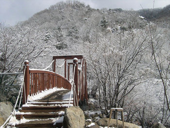 눈이 내린 축령산 모습. 사진 제공 경기녹지재단