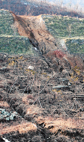 허물어진 생태다리강원 고성군 현내면 송현리 동해북부선 철도에 놓인 생태다리 주변이 제대로 관리되지 않아 올여름 장맛비로 허물어진 채 그대로 방치돼 있다. 고성=김재명 기자