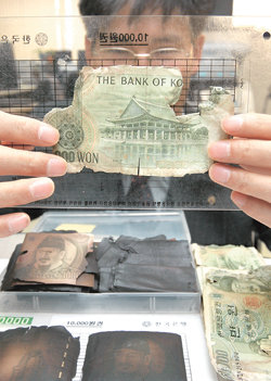 18일 한국은행 직원이 훼손된 화폐를 측정판으로 살펴보고 있다. 한은은 훼손된 화폐가 원래 크기의 4분의 3 이상이면 전액, 5분의 2 이상이면 반액으로 인정해 교환해 주고 있다. 불에 탄 돈이라도 재가 원형을 유지하고 있으면 재를 포함한 부분까지 교환 가능한 면적으로 인정된다. 강병기 기자