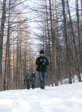 트레커들이 금대봉 아래 안창죽(태백시 창죽동)의 이깔나무 숲속 눈길을 따라 ‘깊은 산속 옹달샘’인 한강 발원지 검룡소를 찾아가고 있다.