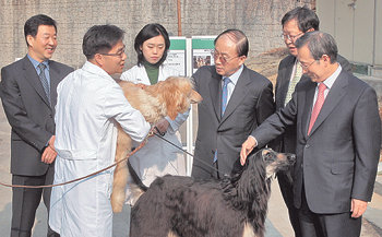 김우식 부총리 겸 과학기술부 장관(오른쪽에서 세 번째)이 22일 서울대 수의대를 방문해 이장무 서울대 총장(오른쪽)과 이병천 교수(왼쪽에서 두 번째)의 안내로 복제개 스너피(검정 개)와 보나를 살펴보고 있다. 박영대 기자