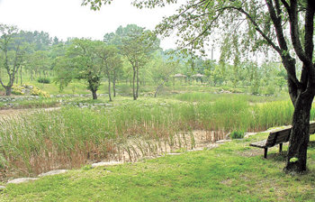 경기 오산시 수청동 물향기수목원. 경기도립 1호 수목원이다. 사진 제공 물향기수목원
