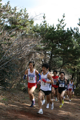 제1회 한국실업육상 크로스컨트리대회에 참가한 선수들이 제주도 서귀포에 위치한 동아마라톤센터 크로스컨트리코스를 달리고 있다.