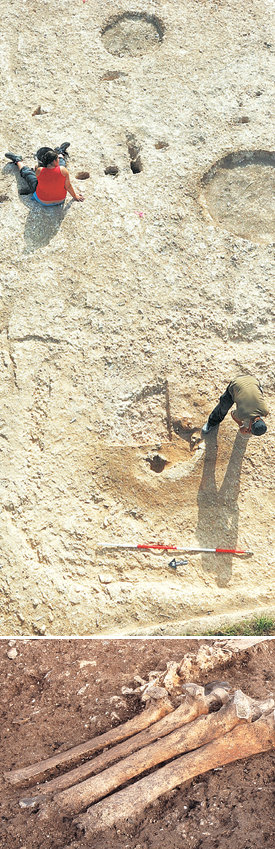 스톤헨지 인근에서 발견된 집터의 흔적. 동그랗게 파인 흔적이 화로를 놓았던 곳으로 추정된다. 가구를 놓았던 곳의 흔적도 선명하다(위). 4600년 전의 동물 뼈들은 이곳에서 축제가 벌어졌음을 보여 준다(아래). AFP 연합뉴스