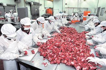 경기 용인시 동천동의 현대F&G 한우가공공장은 설 선물세트 준비에 한창이다. 2일부터 전 직원이 다음 날 오전 4시까지 밤샘작업을 하면서 하루 7t 분량의 한우갈비를 가공해 선물세트를 만들고 있다. 용인=이훈구 기자