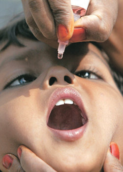 인도의 한 어린이가 먹는 소아마비 백신을 접종 받고 있다. 국제백신연구소는 10년 동안 아시아 아프리카 남아메리카 등의 저개발국에서 백신을 연구하고 보급하는 데 앞장서 왔다. 동아일보 자료 사진