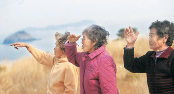 이틀에 한 번 배가 다니는 오지 낙도인 전남 진도군 조도면 맹골도리 곽도(미역섬)에 사는 네 할머니는 섬을 쉬 떠나지 못한다. 언제 돌아올지 모르는 집 나간 아들을 기다려야 하고, 육지에 사는 자식들에게 부담을 주기 싫어서다. 마을 언덕길에 올라 육지를 바라보는 강경엽, 조복례, 박민심 할머니(왼쪽부터). 김둔례 할머니는 목포의 딸 집에 잠시 다니러 갔다. 곽도=박영철  기자