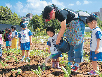 서울시가 운영하는 주말농장에서 채소를 가꾸는 가족. 서울시내 29개 주말농장에서는 상추 시금치 감자 무는 물론이고 배나무도 기를 수 있다. 사진 제공 서울시
