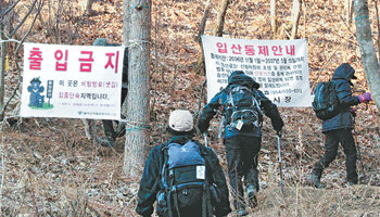 11일 오전 8시경 경북 문경시 월악산국립공원 벌재. 백두대간 등산객들이 출입 금지 구역으로 지정된 벌재∼차갓재 구간을 종주하기 위해 ‘출입 금지’ 플래카드를 무시한 채 줄지어 산으로 들어서고 있다. 문경=신원건  기자