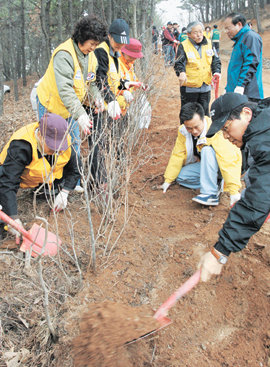 “식목일도 4월이면 늦어요” 춘분인 21일 경기 파주시 학령산 등산로 주변에서 시민들이 느티나무와 왕벚나무 등 나무 1만 그루와 옥잠화 꿀풀 등 야생화 1만5000포기를 심었다. 파주시청은 지구 온난화 현상으로 꽃이 피는 시기가 빨라짐에 따라 매년 4월 5일 실시하던 식목행사를 2주일 앞당겨 이날 치렀다. 파주=강병기 기자