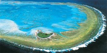 세계문화유산 중 하나인 호주 ‘그레이트배리어리프’의 아름다운 모습. 11일 유네스코의 기후변화 관련 보고서에 따르면 세계 최대의 이 산호초는 해수 온도 상승과 산성화로 화려한 색깔을 잃고 하얗게 변할 위기에 놓여 있다. 동아일보 자료 사진