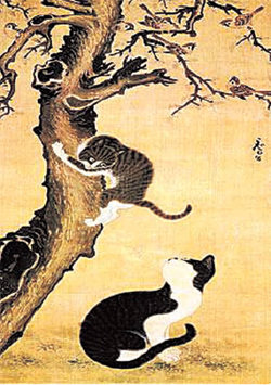 [그림2] 변상벽(1730∼?) ‘묘작도(猫鵲圖)’ 고등 ‘미술’(대한교과서) 69쪽