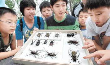 벼룩시장에서는 특정 물품을 교환하는 일회성 행사도 열린다. 서울 성수동 서울숲 내 곤충식물원 앞 광장에서 열린 ‘곤충 벼룩시장’에서 학생들이 곤충들을 구경하고 있다. 동아일보 자료 사진