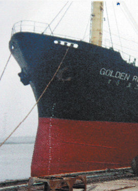 침몰 한국 선박 12일 중국 옌타이 동남쪽 38마일 해상에서 중국 화물선 진성호와 충돌한 뒤 침몰한 제주선적 화물선 골든로즈호.