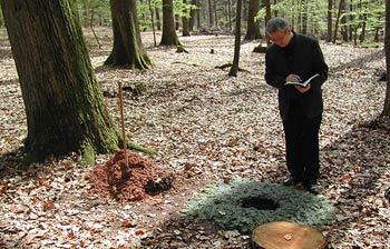 수목장이 많은 독일 미헬슈타트 지역의 오덴발트 수목장. 분골을 묻기 위해 나무뿌리 주변에 웅덩이를 파 놓았다. 사진 제공 산림청