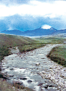 돌궐(튀르크) 민족의 발상지 ‘위투켄’ 산은 고조선말로 ‘우뚝한’ 산이며, 지방민들은 ‘박달’ 산이라고도 부른다. 사진 제공 신용하 교수