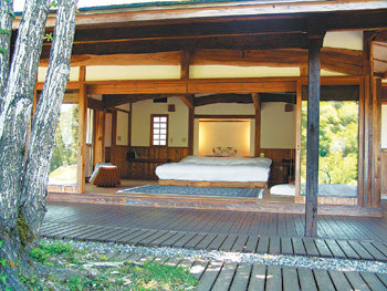 덴구노모리 빌라의 고급스러운 객실. 숲과 하늘이 실내의 침대에 누워서도 훤히 보이도록 설계된 목조건물이다.