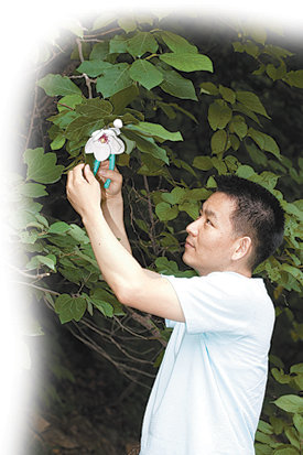 코리아나화장품 이강태 연구원이 강원 인제군 방태산에서 천녀목란을 따고 있다. 사진 제공 코리아나화장품