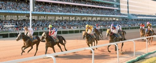 제11회 동아일보배 대상경주에서 우승한 ‘홍지’(왼쪽에서 두 번째, 기수 신형철)가 4위권으로 달리다 결승선을 앞둔 막판 직선 주로에서 무서운 스피드로 역전극을 펼치고 있다. 이번 경주는 단승식 4.4배, 복승식 25.2배, 쌍승식 39.2배의 배당을 기록했다. 과천=이훈구  기자