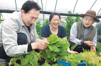 한나라당 이명박 대선후보(왼쪽)가 22일 경기 양평군의 친환경 유기농 농장인 ‘팔당 생명 살림’을 방문해 선진 농업기술 현장을 둘러본 뒤 농민과 함께 상추를 뜯고 있다. 양평=연합뉴스