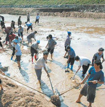 수해복구 한창인 북한태풍으로 수해를 당한 평안북도 철산군에서 지난달 28일 주민들이 하천 주변을 정리하며 복구작업을 하고 있다. 평양=조선중앙통신 연합뉴스