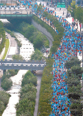 가을이 함께 달렸다 올해로 5회째를 맞은 2007 하이서울마라톤(서울시 주최·동아일보사 특별 후원) 참가자들이 7일 가을의 정취가 물씬 풍기는 서울 청계천 옆길을 달리고 있다. 1만여 명이 참가해 성황을 이뤘으며 풀코스에서 이범일 씨가 2시간 40분 45초, 김영아 씨가 3시간 3분 43초의 기록으로 남녀 챔피언이 됐다. 홍진환  기자