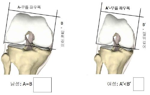 그림 1.남성과 여성의 해부학적 차이