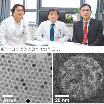 연세대 연구팀이 자성을 띤 나노입자에 치료용 항체와 항암제를 결합해 암 진단과 치료가 모두 가능한 나노복합체를 개발했다. 전자현미경으로 본 나노입자(아래)와 나노복합체. 사진 제공 과학기술부