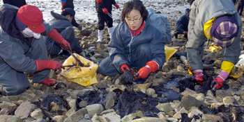 충남 태안군 기름 유출 사고로 생긴 타르 덩어리가 김 양식장이 많은 전남 해안까지 밀려왔다. 3일 전남 무안군 도리포 앞바다에서 주민과 자원봉사자가 자갈에 엉겨 붙은 타르 덩어리를 떼어내고 있다. 무안=박영철  기자