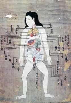 1702년 일본에서 그려진 해부도. 작자 미상. 18세기 해부학의 전래는 일본인들에게 대상을 열어 눈으로 확인해야 한다는 의식을 갖게 했다. 사진 제공 그린비