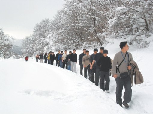 한라산 설경이 최근 절정을 이루면서 관광객과 등산객의 발길이 끊이지 않고 있다. 사진 제공 한라산국립공원관리사무소