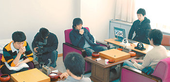 11일부터 후지쓰배 춘란배 응씨배 등 세계대회 국가대표 선발전이 열리고 있다. 12일 서울 성동구 홍익동 한국기원에서 열린 후지쓰배 대회 선발전에 출전해 대국을 벌이고 있는 기사들. 사진 제공 한국기원