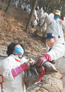 한마음으로 일을 하면 즐거운 모양이다. 19일 충남 태안군 구름포해수욕장을 찾은 자원봉사자들이 바위의 기름때를 닦은 수건을 모아 나르면서 환하게 웃고 있다. 태안=연합뉴스