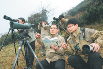 “저 새는…” 국립공원연구원 철새연구센터 채희영 센터장(가운데)과 연구원들이 26일 전남 신안군 흑산면 홍도의 야산에서 조류를 관찰하고 있다. 빼어난 경관을 자랑하는 홍도에서 새들은 또 하나의 보배나 마찬가지. 연구원들은 “세상이 알아주지 않지만 아름답고 예쁜 새와 함께 지낼 수 있어 행복하다”고 말했다. 홍도=박영철 기자