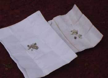 김교수 일행이 찾아낸 다이아몬드.