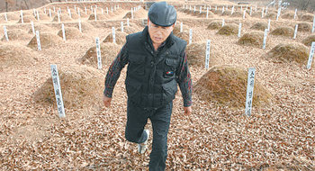 경기 파주시 적성면에 거주하는 농부 최재현 씨가 ‘북한군·중공군 묘지‘를 걷고 있다. 6·25전쟁 당시의 끔찍했던 기억 때문에 아직도 북한을 증오한다는 그는 이곳을 방문한다는 것 자체가 쉽지 않은 일이라고 털어놓았다. 사진 출처 인터내셔널헤럴드트리뷴
