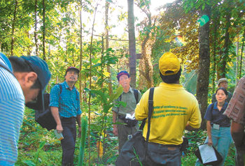 필리핀 마킬링 산의 조사지에 도착한 이돈구 교수(가운데)와 연구원들이 열대우림 속의 연구 활동을 논의하고 있다. 사진 제공 이돈구 교수