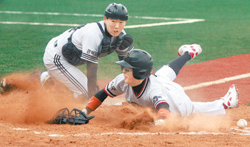 공은 저 멀리에… 대구고가 2-0으로 앞선 2회초 2사 1, 2루. 대구고 2루주자 이석규(오른쪽)가 경북고 투수의 폭투에 이은 포수의 2루 악송구를 틈타 홈까지 파고들고 있다. 왼쪽은 경북고 포수 최석희. 박영대  기자