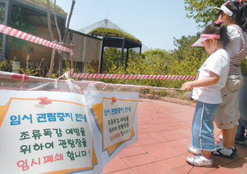 과천 서울대공원 임시 관람중지서울에서 조류인플루엔자(AI)에 감염된 꿩이 발견된 가운데 6일 오전 경기 과천시 서울대공원에는 ‘임시 관람중지’ 안내문이 붙었다. 서울대공원 측은 AI 예방을 위해 동물원의 오골계 등 17종 221마리를 도살 처분하고 나머지 조류는 소독 및 출입통제 등 방역조치를 했다고 밝혔다. 과천=연합뉴스