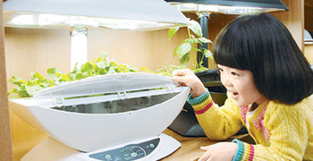 집에서 물과 공기만으로 채소를 직접 키울 수 있는 제품 ‘에어로 가든’. 사진 제공 한국후지필름