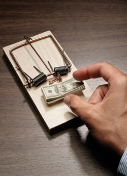 게티이미지 멀티 비츠