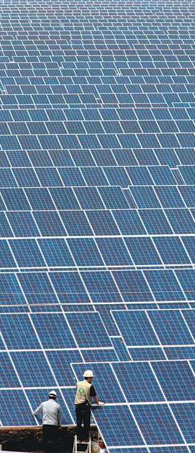 LG솔라에너지가 최근 완공해 상업 발전을 시작한 충남 태안군 원북면의 태양광발전소. 이 발전소는 단일 규모로는 국내 최대인 14MW의 전력을 생산해 연매출 133억 원을 올린다. 사진 제공 LG솔라에너지