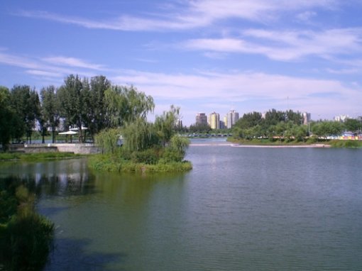 푸른 하늘과 조양공원의 맑은 호수가 어우러진 아름다운 풍경.