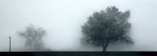 묘한 판타지를 불러일으키는 이기봉의 회화 ‘궁극의 영역’. 사진 제공 국제갤러리