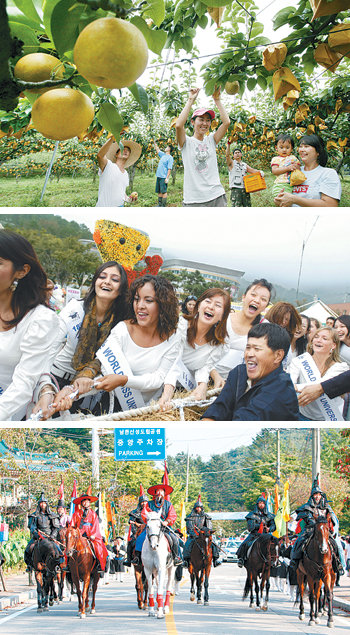 먹을거리 풍성한 계절답게 서울 경기지역 곳곳에서 특산물 축제가 이어진다. 야외무대에서 펼쳐지는 문화 축제도 많다. 경기 남양주시 먹골배 축제 때는 참가자들이 직접 배를 딸 수도 있다.(위) 또 이천시 쌀문화 축제에는 세계 각국의 쌀 요리가 선보인다. 광주시에서는 조선 군사들의 열병식을 볼 수 있는 남한산성 문화제가 열린다.(아래) 지난해 열린 이들 축제의 모습. 사진 제공 남양주시·이천시·광주시