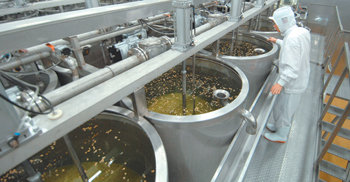 풀무원 장용길 생산팀장이 충북 음성군 두부공장에서 콩을 불리는 과정을 점검하고 있다. 사진 제공 풀무원