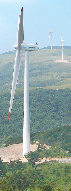 대관령풍력발전단지의 모습. 대관령에는 현재 660kW급 4기와 2MW급 49기 등 풍력발전기 53기가 가동되며 강릉시 전체 가구의 80∼90%가 사용할 수 있는 규모의 전력을 생산한다. 사진 제공 강원도