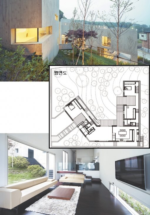 경기 광주시의 ‘오르는 집’은 가파른 경사지를 길게 빙 둘러 오르는 공간이다. 층고를 조금씩 높이면서 죽 이어 붙인 개인 공간에는 서로를 향해 열린 창문이 있다(위). 바닥의 나무는 각 실과 공간 내·외부를 연결하는 재료로 쓰였다. 사진 제공 아르키움 건축사사무소